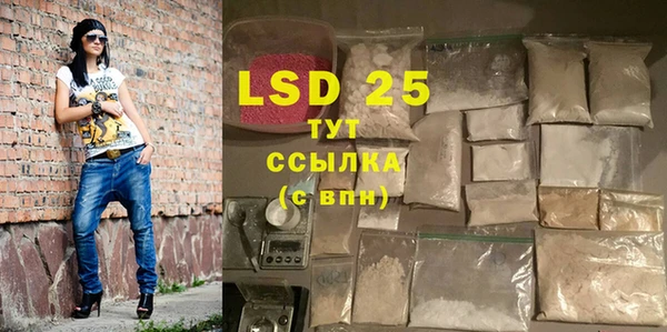 стаф Балахна