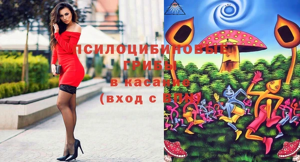 стаф Балахна